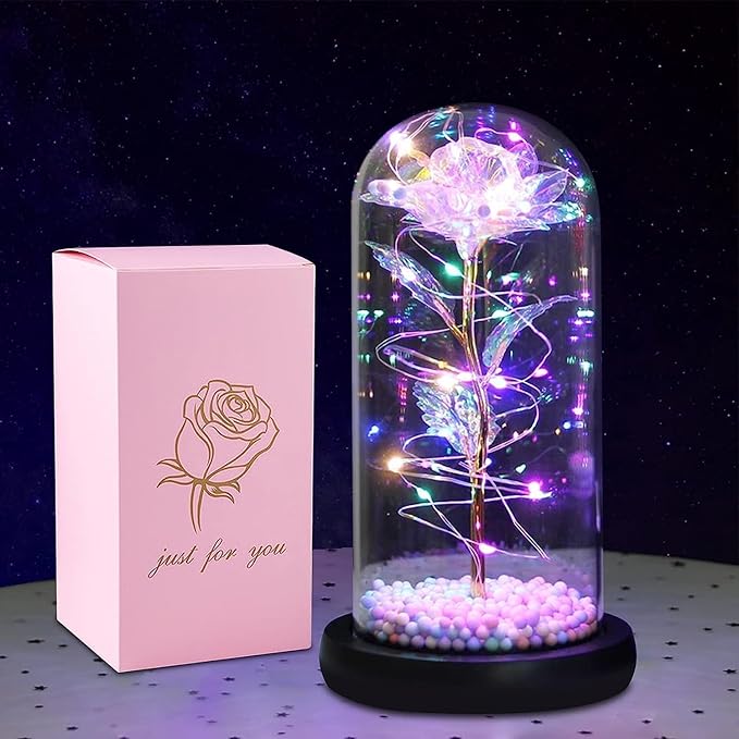 BFGF® Enchanted LED Rose Dome – A Magical Gift for Indian Couples